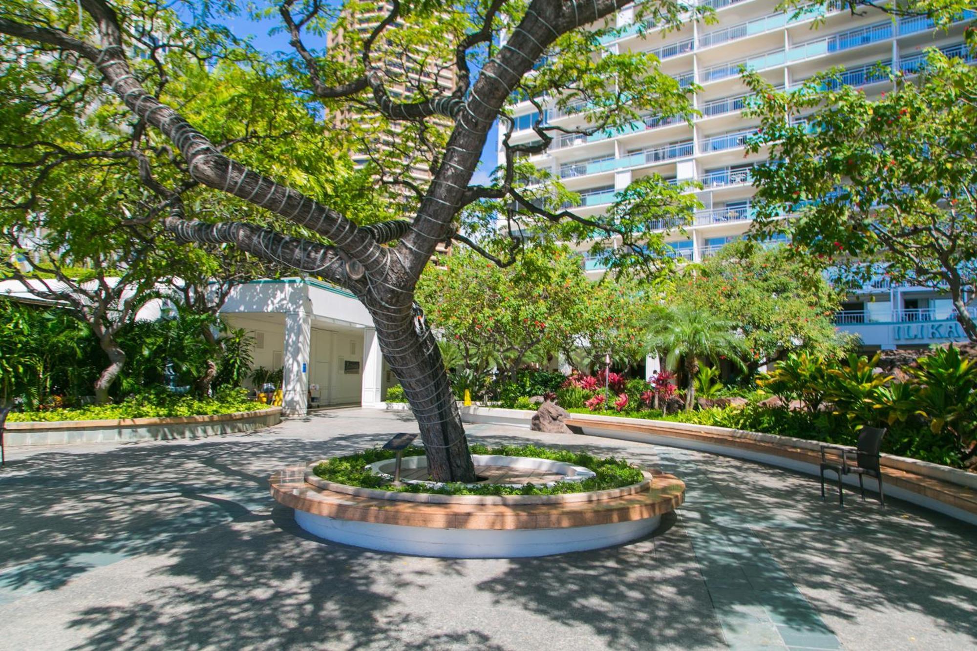 Apartment Ilikai Tower 1228 Lagoon View 1br